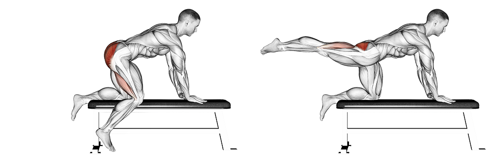Bench Hip Extension