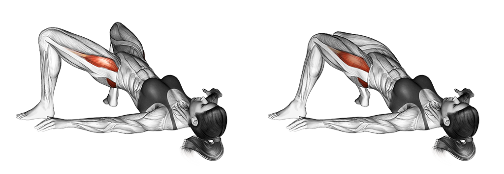 Bridge Hip Abduction