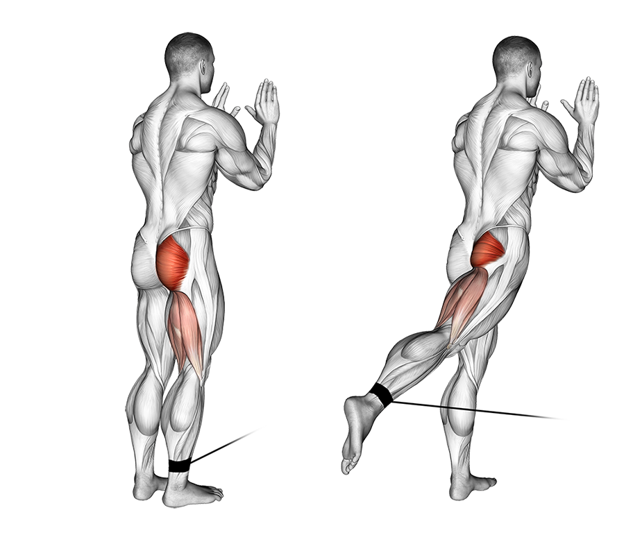 Cable Standing Hip Extension