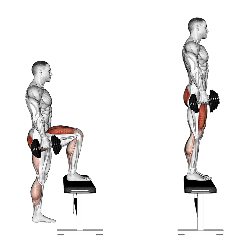 Dumbbell Step Up