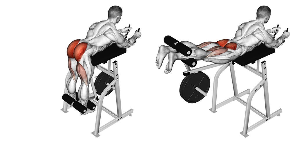 Lever Reverse Hyperextension