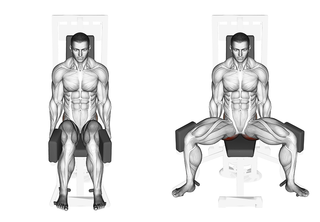 Lever Seated Hip Abduction