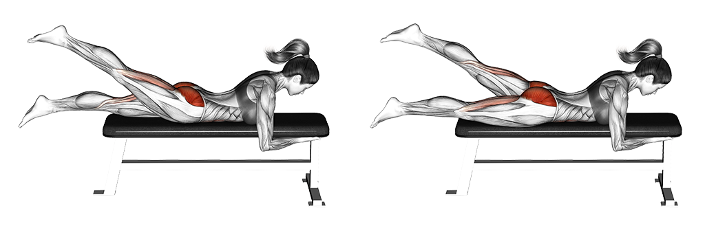 Lying Alternate Hip Extension
