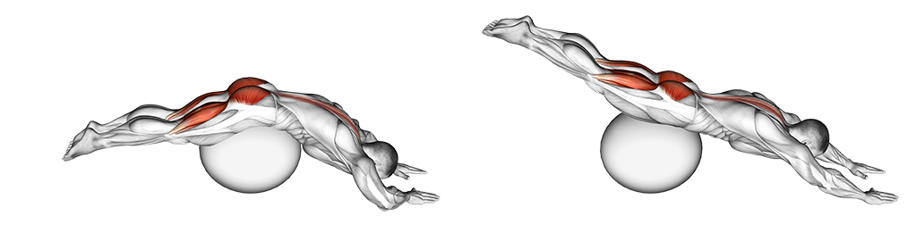 Reverse Hyper on Ball