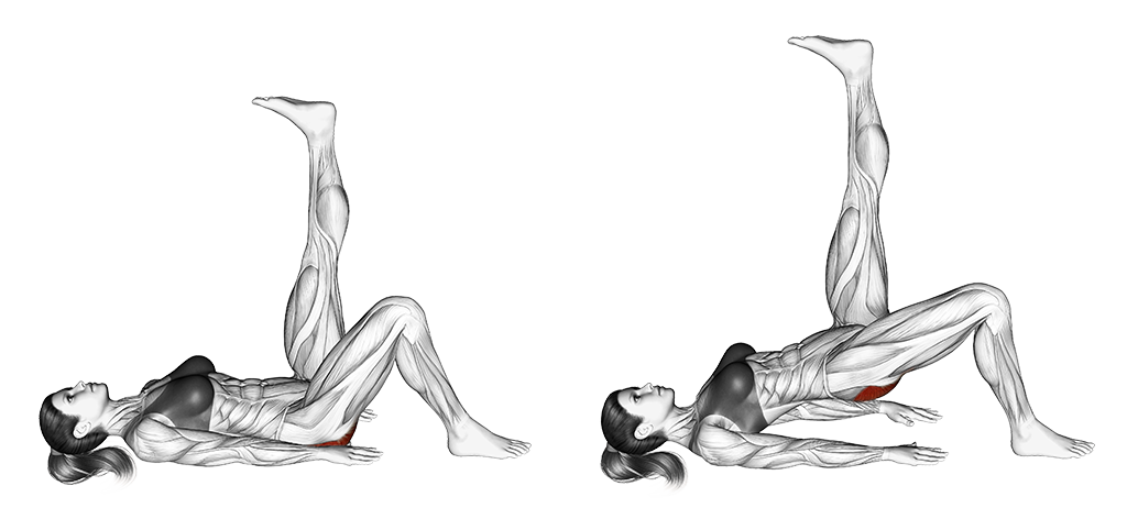 Single Leg Hip Bridge Straight Leg