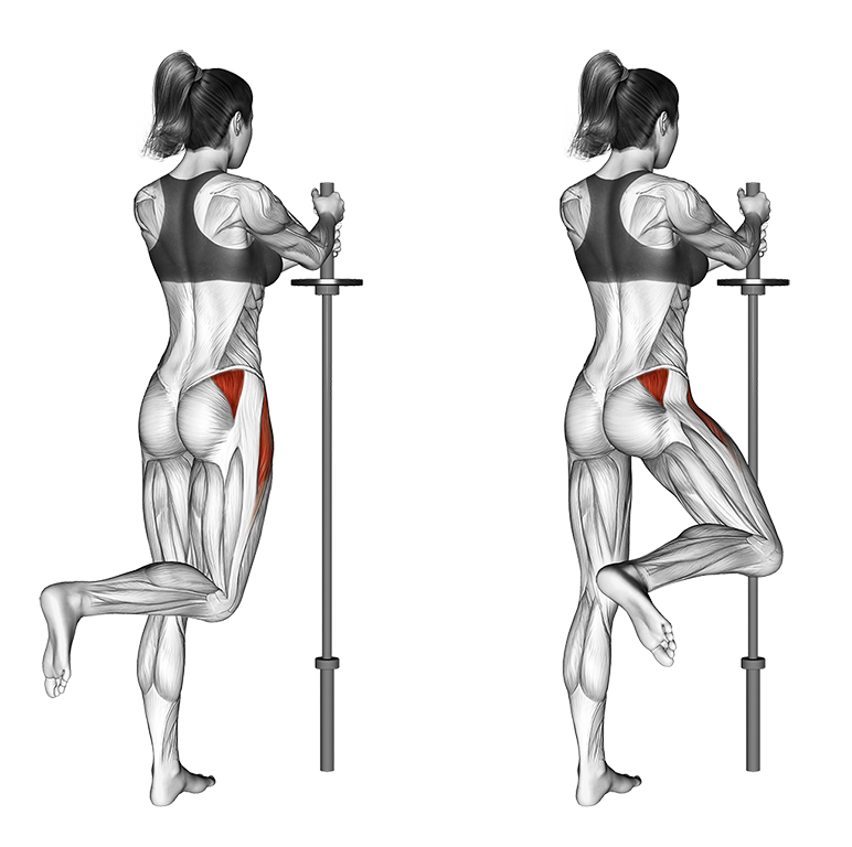 Standing Hip Abduction Bent Knee