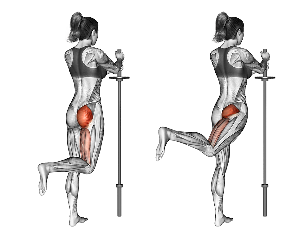 Standing Hip Extension Bent Knee