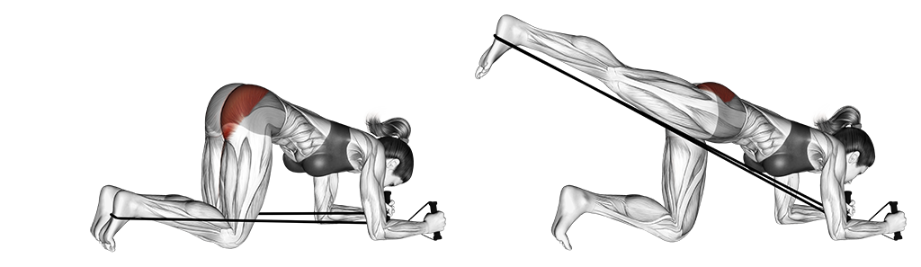 Band Kneeling Rear Kick