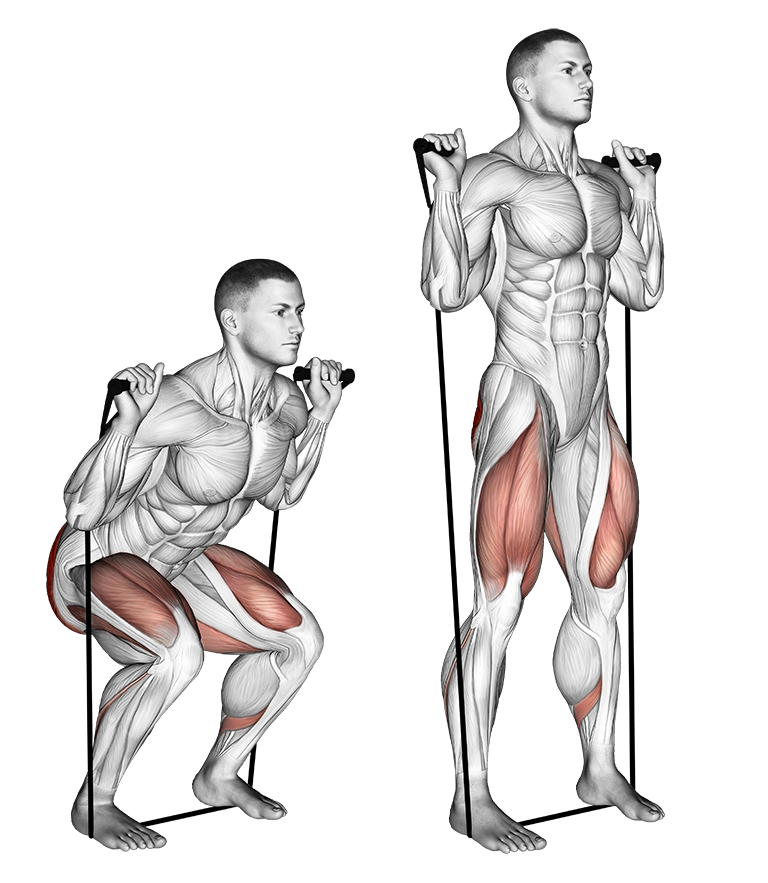 Band Squat