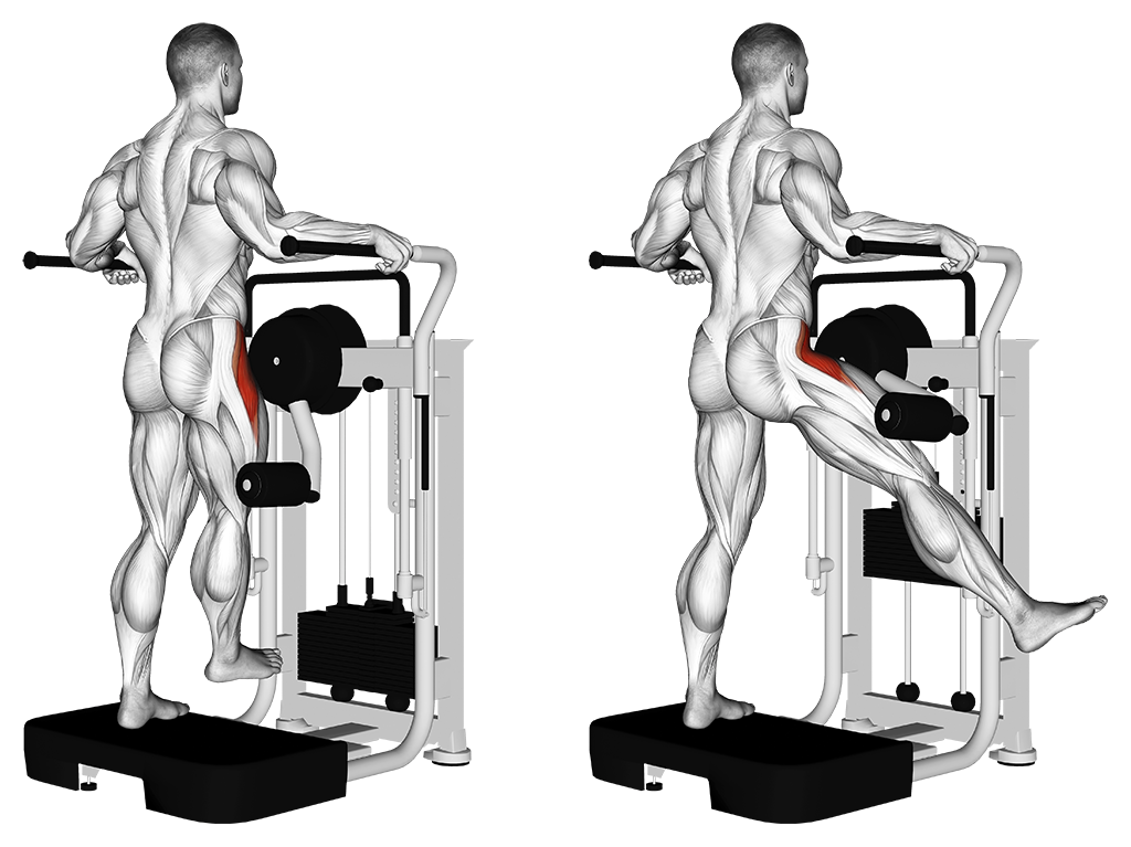 Lever Side Hip Abduction