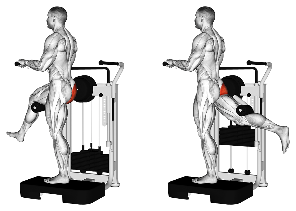 Lever Standing Rear Kick