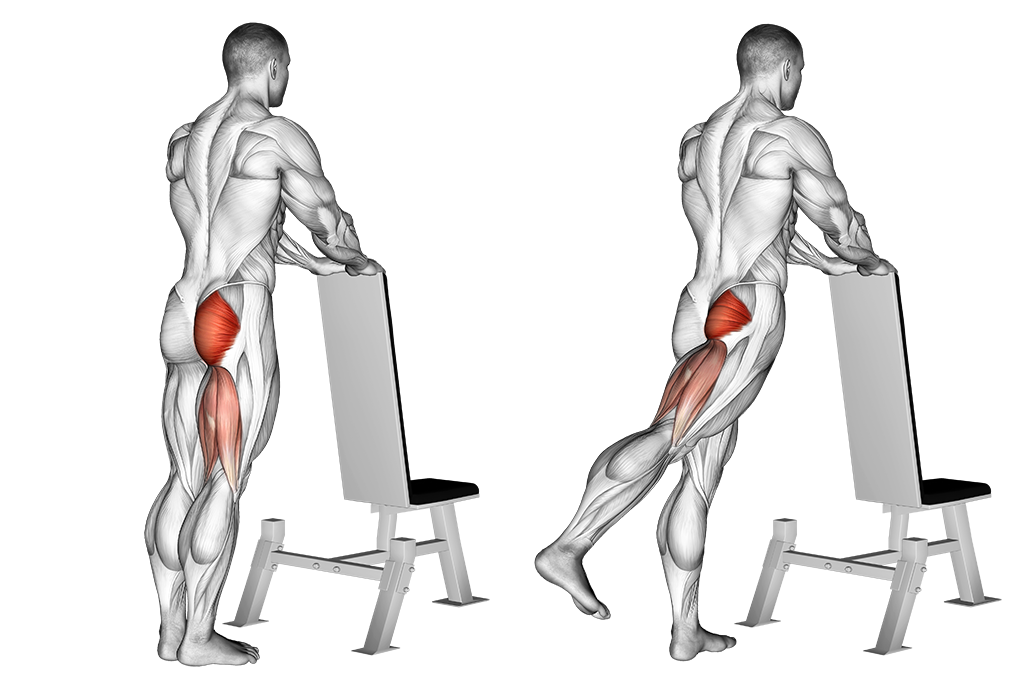 One Leg Kickback Bench
