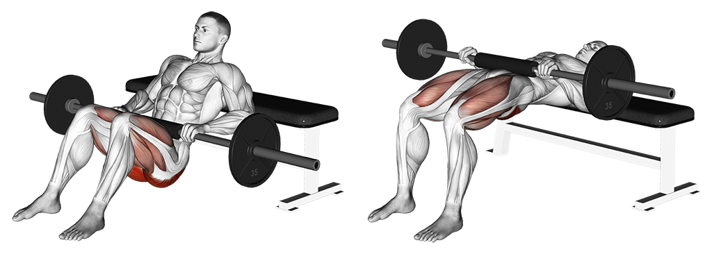 Barbell Hip Thrust