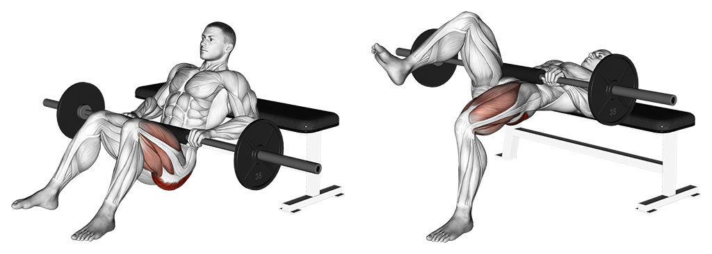 Barbell One Leg Hip Thrust