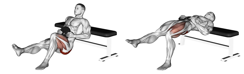 Weighted One Leg Hip Thrust