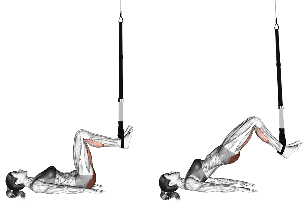 Suspender Hip Bridge