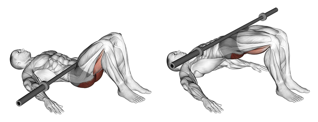 Barbell Glute Bridge