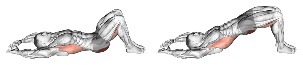 Pelvic Tilt Into Bridge