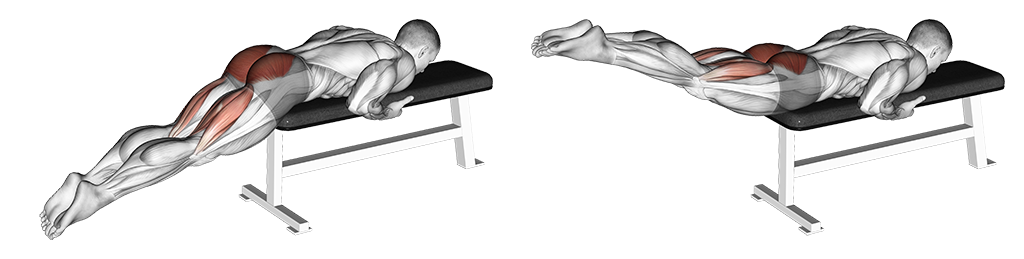 Reverse Hyper on Flat Bench