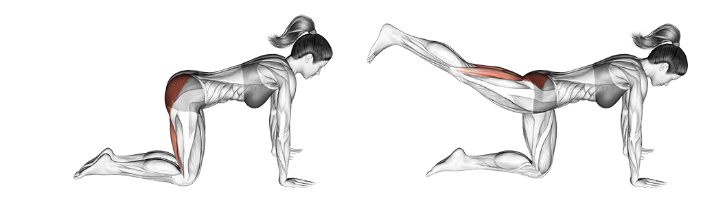 Straight Leg Kickback